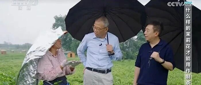 钟睒睒追问平台经济责任